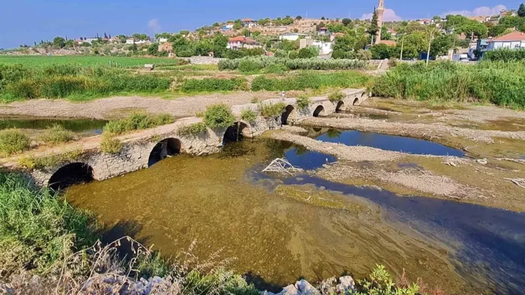 balık