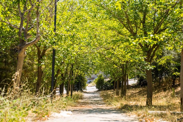 İzmir’de “Yaşayan Parklar” hedefine bir adım da Meriç Parkı ile atıldı