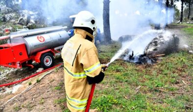 İzmir’in orman yangınlarıyla mücadele başarısı; 620 yangına erken müdahale edildi