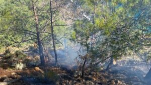 Muğla'nın Menteşe ilçesinde dün çıkan orman yangınıyla ilgili 1 şüpheli