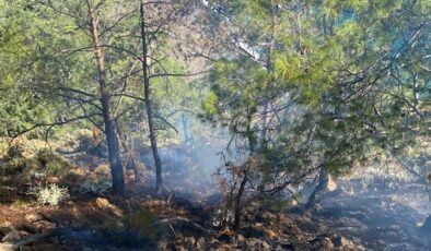 Muğla’daki orman yangınıyla ilgili 1 şüpheli gözaltına alındı