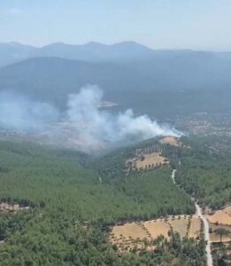 Muğla'nın Kavaklıdere ilçesi ile Aydın'ın Bozdoğan ilçesi arasındaki ormanda çıkan
