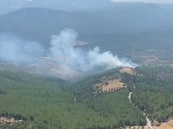 Muğla’da yangın: 1 hektar orman yandı