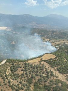 İzmir'in Ödemiş ilçesinde çıkan orman yangını, havadan ve karadan müdahale