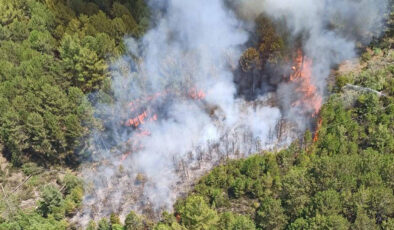 Yanan ormanlar değil biziz: 9 günde çıkan orman yangını sayısı 148