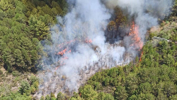 Yanan ormanlar değil biziz: 9 günde çıkan orman yangını sayısı 148