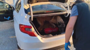 Kütahya'da  Narkotik köpek ‘Thor’ ile yapılan aramada bir otomobilin