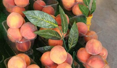 Sıcak hava dalgası yaz meyvelerini de vurdu: ‘Güneş yanığı’ fiyatları artırdı