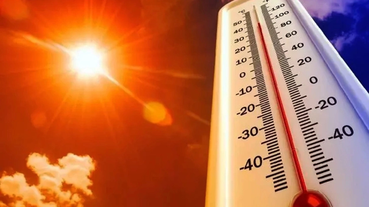 İzmir Dokuz Eylül Üniversitesi (DEÜ) Araştırma Uygulama Hastanesi uzmanları, son