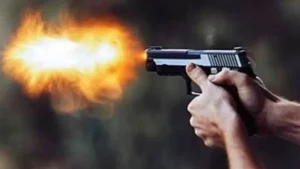 CHP Adana Milletvekili Müzeyyen Şevkin, 2018’de 7 bin 630 olan silah
