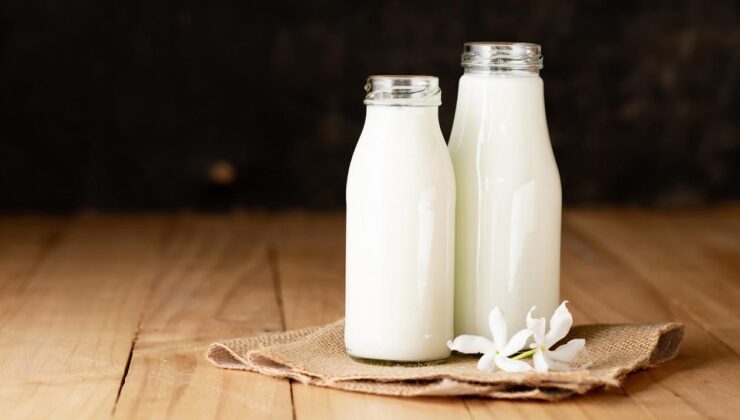 Girdi maliyeti yükselişi süt üretimini de vurdu…