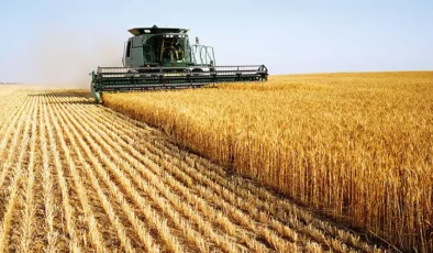TÜİK açıkladı: Tarımda üretici enflasyonu sert yükseldi