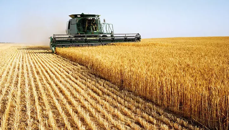 TÜİK açıkladı: Tarımda üretici enflasyonu sert yükseldi