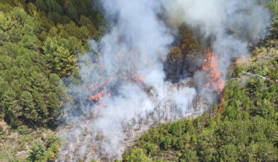Muğla’da orman yangını çıktı: Müdahale devam ediyor