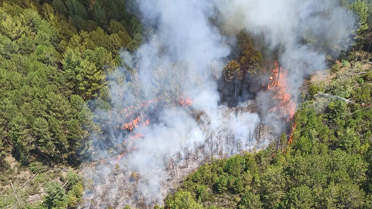 Muğla’da orman yangını çıktı: Müdahale devam ediyor