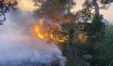 Çanakkale’de korkutan orman yangını: Alevler hızla yayıldı!