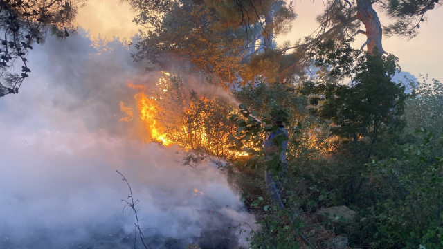 Çanakkale’de korkutan orman yangını: Alevler hızla yayıldı!