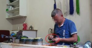 Diyarbakır'da, etrafı güvenlik kameraları ve dikenli tellerle çevrili avlulu evde,