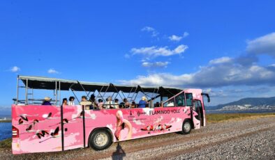 İzmir Büyükşehir Belediyesi’nden doğaseverlere müjde: ‘Flamingo Festivali’