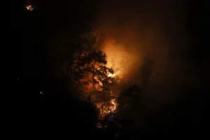 Antalya'nın Alanya ilçesinde yerleşim yerlerine yakın ormanlık alanda çıkan yangının
