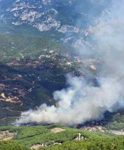 Antalya'nın Alanya ilçesinde çıkan orman yangınına havadan ve karadan müdahale