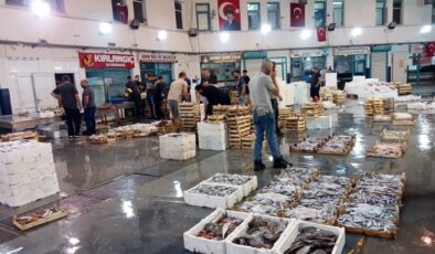 İzmirli balıkçılar yeni sezondan umutlu: Hamsi ve sardalya halin gözdesi oldu
