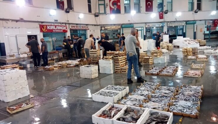 İzmirli balıkçılar yeni sezondan umutlu: Hamsi ve sardalya halin gözdesi oldu