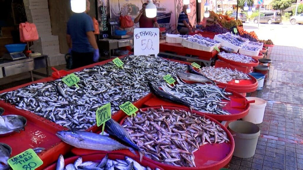 Hamsi bollaştı, fiyatı yarı yarıya düştü