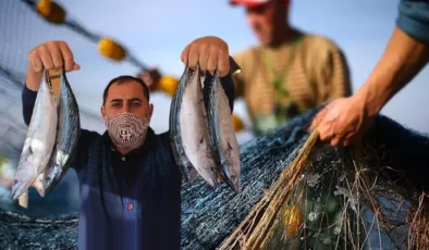Balıkçılar denize açıldı; Balık fiyatları sezona nasıl başladı?