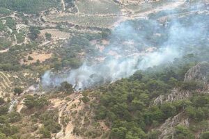 Bergama ilçesinin Avunduruk Mahallesi’ndeki ormanda, bugün saat 14.00 sıralarında yangın