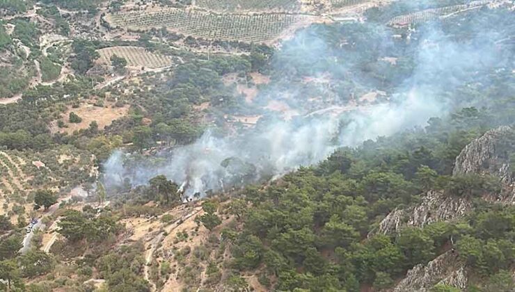 Bergama’da orman yangını, 2 saatte söndürüldü