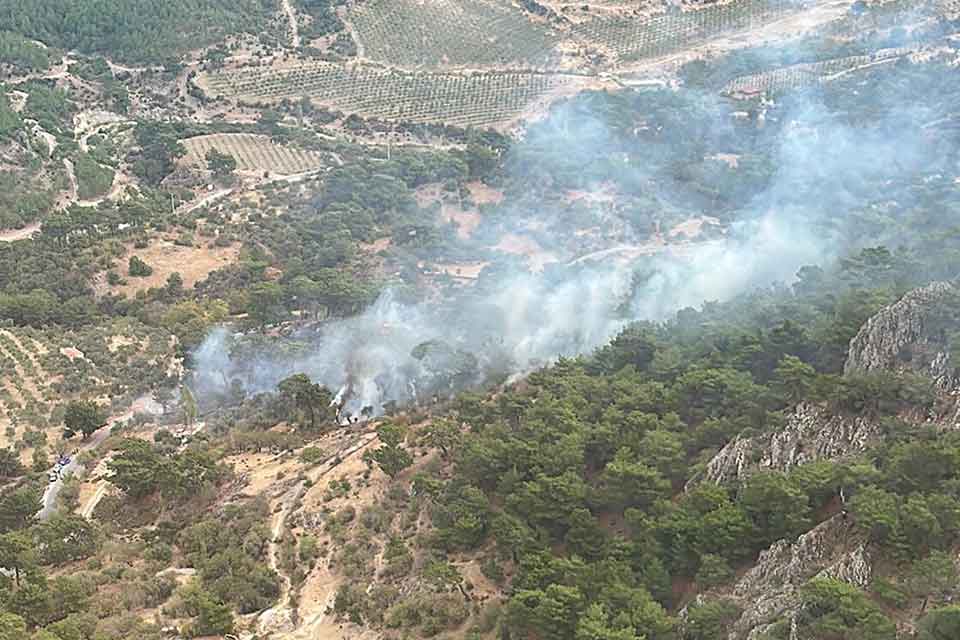 Bergama ilçesinin Avunduruk Mahallesi’ndeki ormanda, bugün saat 14.00 sıralarında yangın