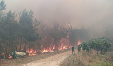 Bursa’daki orman yangını 15. saatinde; Ekiplerin alevlerle mücadelesi devam ediyor