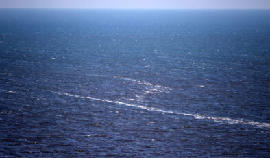 Marmara Denizi’nde korkutan analiz; Sıcaklık artıyor, oksijen azalıyor!