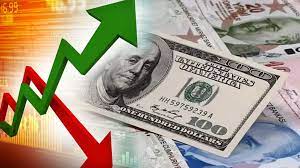 Merkez Bankası’nın dolar, faiz ve enflasyon tahmini açıklandı