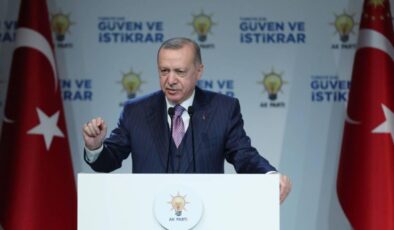 Cumhurbaşkanı Erdoğan: “OVP’ye desteğimiz tam”
