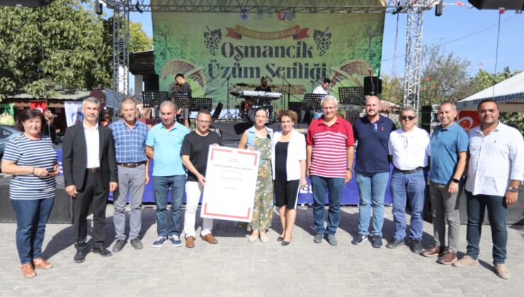 Gökçealan Osmancık Üzüm Şenliği: Osmancık üzümü artık bir marka