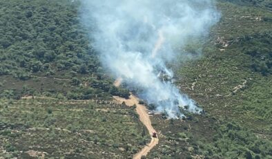 İzmir Foça’daki orman yangınında son gelişmeler