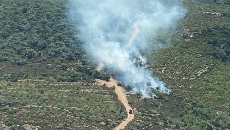 İzmir’de orman yangını: Öğlen saatlerinde başlayan yangın söndürülemedi