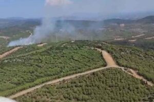 İzmir'in Torbalı ilçesinde orman yangını çıktı. Ekipler, alevlere havadan ve