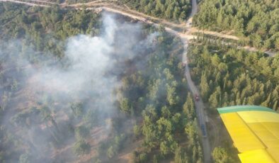 İzmir’deki orman yangını söndürüldü