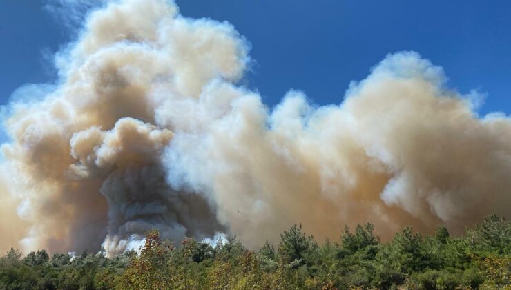 Manisa’da orman yangını kısmen kontrol altında
