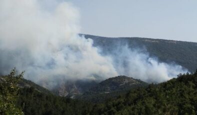 Marmaris’te orman yangını: Söndürme çalışması sürüyor