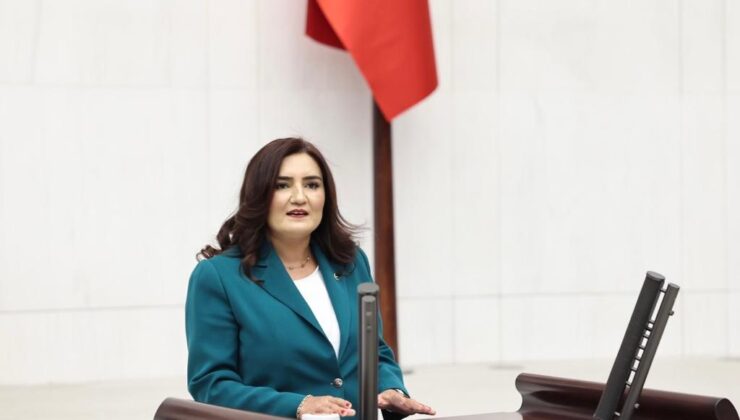 CHP Milletvekili Kılıç’tan Anayasa çıkışı: ‘Askeri vesayete de saray vesayetine de hayır!’