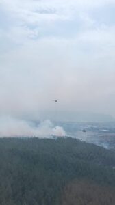 İzmir’in Gaziemir ilçesindeki ormanda saat 13.00 sıralarında çıkan yangın, havadan