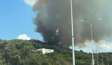 İstanbul’da orman yangını: Müdahale başladı…