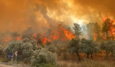 Muğla’da orman yangını: Müdahale sürüyor