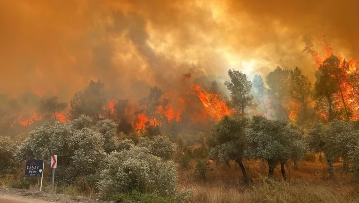 Muğla’da orman yangını: Müdahale sürüyor