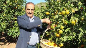 Ticaret Bakanlığı Ege Gümrük ve Dış Ticaret Bölge Müdürlüğü başkanlığında