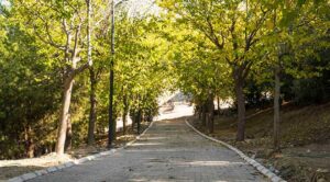 İzmir Büyükşehir Belediye Başkanı Tunç Soyer’in İzmirlilerin doğa ve ormanla